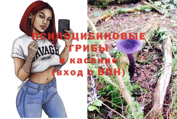 прущие грибы Белоозёрский