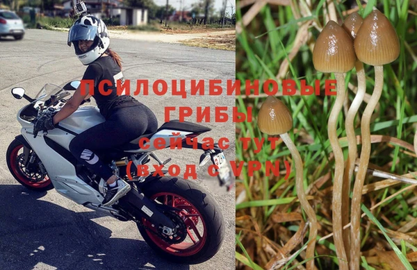 mix Богородицк