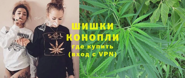 mix Богородицк